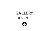 GALLERY ギャラリー