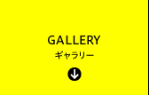 GALLERY ギャラリー